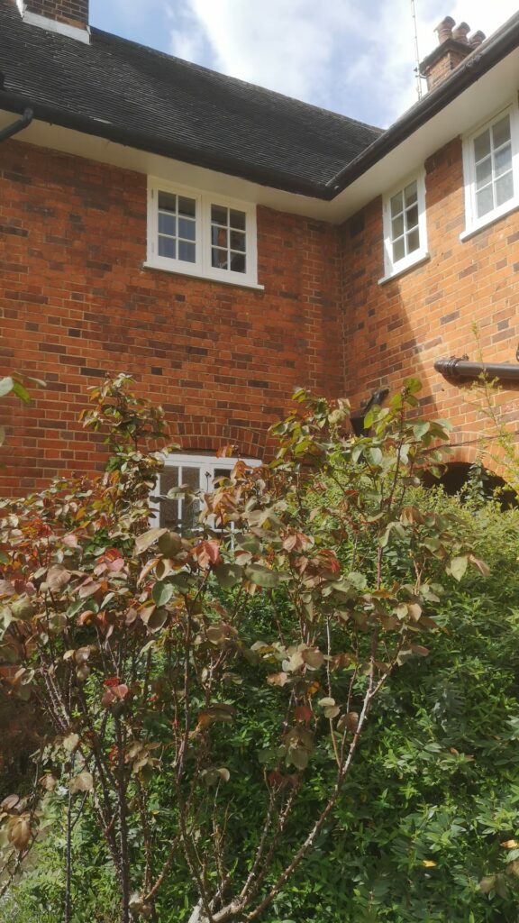 accoya windows hampstead1